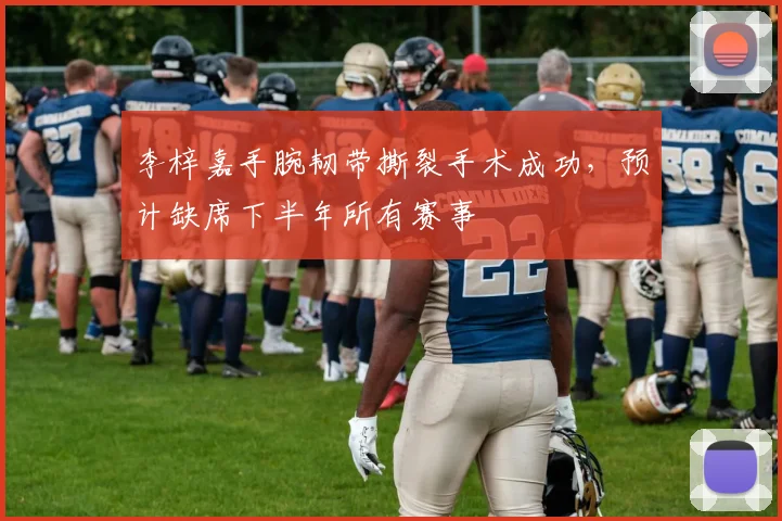 李梓嘉手腕韧带撕裂手术成功,预计缺席下半年所有赛事